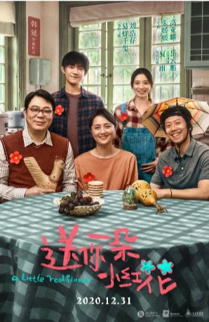 国产电影《送你一朵小红花》（2020年）剧情  主演: 易烊千玺/刘浩存/夏雨豆瓣7.2【夸克网盘】-影视部落