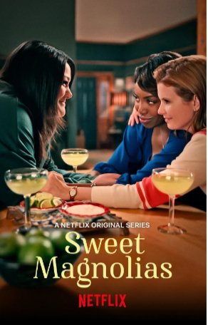 美国电视剧《甜木兰》第一季（2020）喜剧 / 爱情 豆瓣7.6【夸克网盘】-影视部落