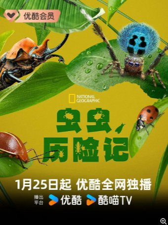 美国纪录片《虫虫历险记》第一季（2024）又名: 虫虫危机(台) / 虫虫特工队(港) / 真实虫虫危机 纪录片 / 冒险 主演: 奥卡菲娜 豆瓣9.0【夸克网盘】-影视部落