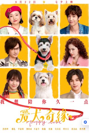 国产电影《爱犬奇缘》(2023)喜剧 / 爱情 主演: 冯绍峰 / 古力娜扎 / 李嘉琦 / 卜冠今 / 刘以豪 【夸克网盘】-影视部落