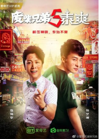 国产剧《废柴兄弟5：泰爽》（2017）喜剧 主演: 孙艺洲 / 张海宇 / 高艺涵 / 李又麟 / 张梦露【夸克网盘】-影视部落