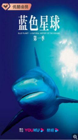 英国纪录片《蓝色星球》第一季(2001)纪录片 主演: 皮尔斯·布鲁斯南 / 大卫·爱登堡 豆瓣9.6 中文字幕【夸克网盘】-影视部落