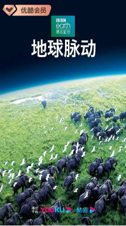 英国纪录片《地球脉动》第一季（2006）纪录片 主演: 大卫·爱登堡 / 西格妮·韦弗 豆瓣9.7 中文字幕【夸克网盘】-影视部落