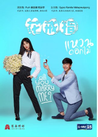 泰剧《花戒指》（2017）剧情 / 爱情 豆瓣7.4 中文字幕【夸克网盘】-影视部落