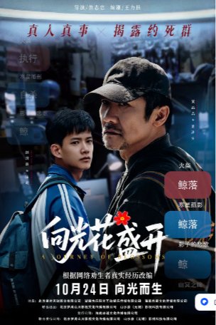 国产电影《向光花盛开》剧情 主演: 黄志忠 / 赵润南 / 齐欢 / 江珊 / 任重 豆瓣5.2【夸克网盘】-影视部落