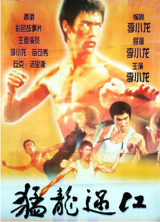 香港电影《猛龙过江》[1972年] 又名: The Way of the Dragon / Fury of the Dragon / Mang lung goh kong / Return of the Dragon / Revenge of the Dragon [喜剧动作] 主演: 李小龙 / 苗可秀 / 查克·诺里斯 / 魏平澳 / 黄宗迅 豆瓣8.4[夸克网盘][中文字幕]-影视部落