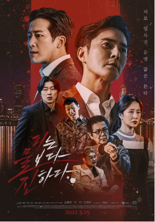 韩国电影《血浓于水》[2022年]又名: The Goblin [动作]主演: 赵东赫 / 李莞 [夸克网盘][中文字幕]-影视部落