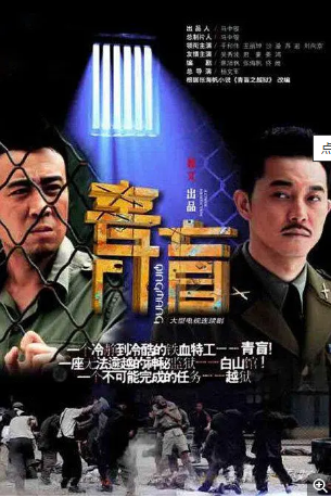 国产剧《青盲》[2012年] 又名: 穿越集中营 / 青盲之越狱 [悬疑] 主演: 吴秀波 / 沙溢 / 于和伟 / 王丽坤 / 江明洋 豆瓣7.2[夸克网盘]-影视部落