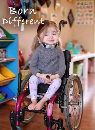 英国纪录片《天赋异禀》（2017）纪录片 豆瓣9.0 【夸克网盘】 中英文字幕-影视部落