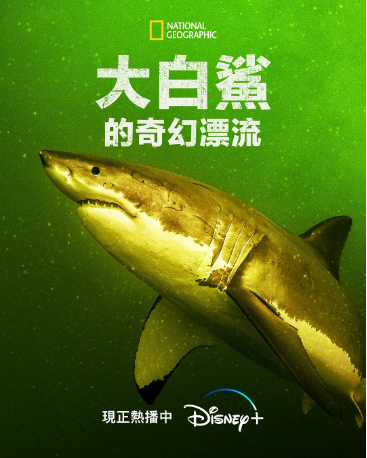 美国纪录片《大白鲨的奇幻漂流》[2023年][夸克网盘][中文字幕]-影视部落