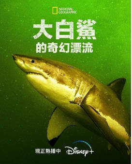 美国纪录片《大白鲨的奇幻漂流》[2023年][夸克网盘][中文字幕]-影音部落