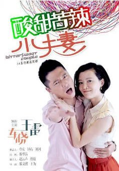 国产剧《酸甜苦辣小夫妻》[2015年] 又名: 百炼夫妻 / 婚姻责任 [家庭]主演: 王雷 / 车晓 / 李心敏 / 孟秀 豆瓣5.8[夸克网盘]-影音部落